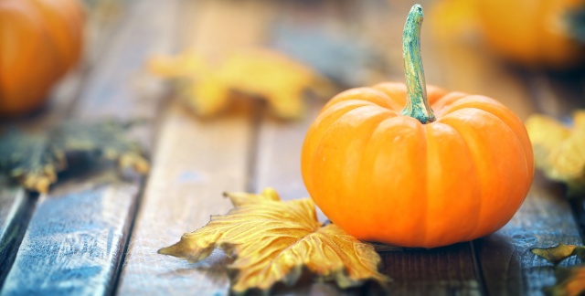 fall pumpkins