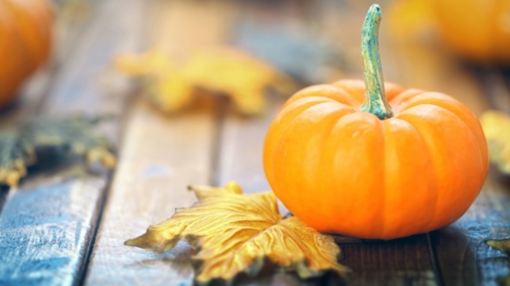 fall pumpkins